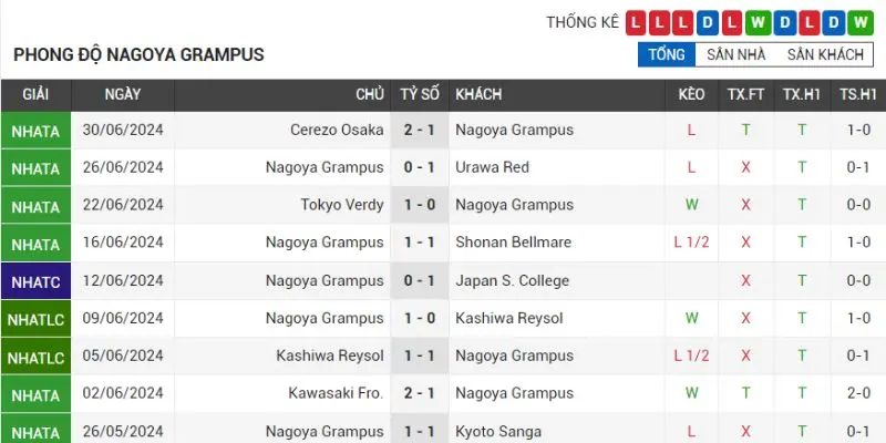 fc machida zelvia vs nagoya grampus phong do cua tuyen nagoya grampus gan nhat