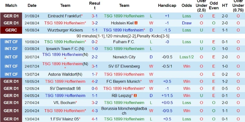 hoffenheim vs leverkusen phong do hoffenheim